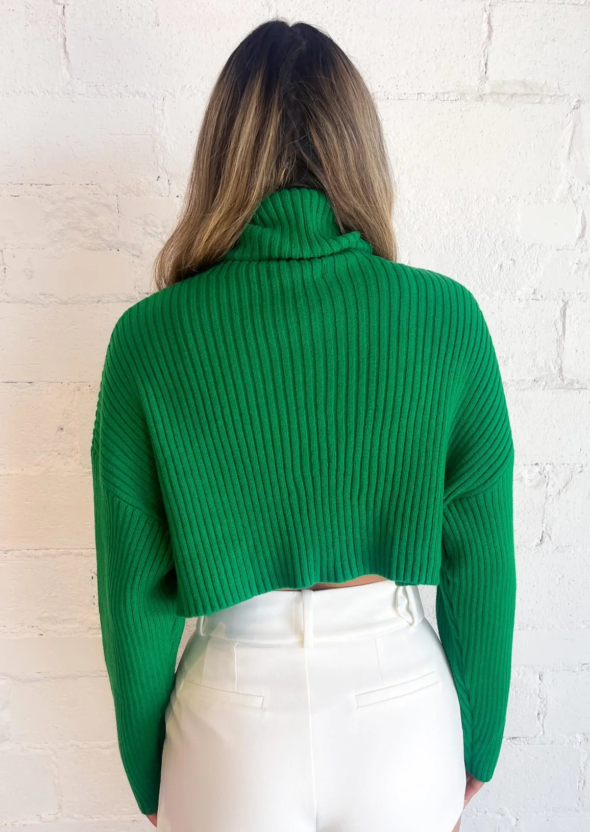 Toasty Babe Turtleneck Crop Sweater